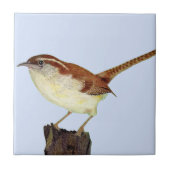 リトルウォレン タイル (正面)