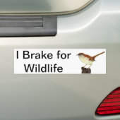 リトルウォレン バンパーステッカー (車上)