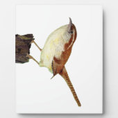 リトルウォレン フォトプラーク (正面)