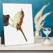 リトルウォレン フォトプラーク (側面)