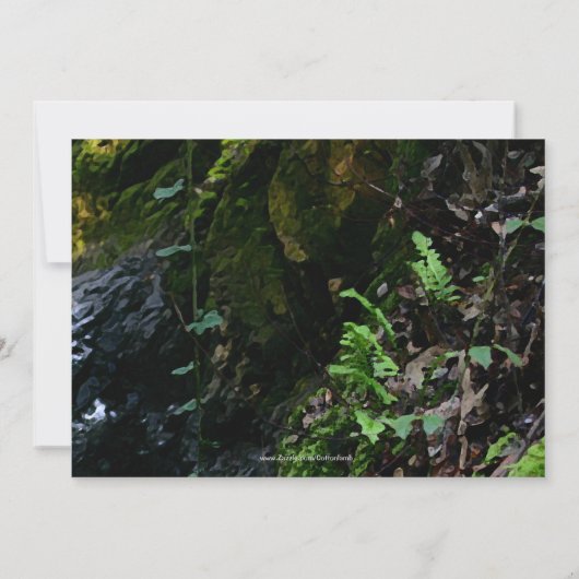 リトルウォーターフォール結婚式招待状 招待状 (裏面)