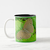 リトルウッドサテュルバタフライマグ ツートーンマグカップ (左)