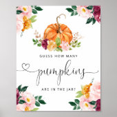 リトルカボチャフローラはカボチャの数を推測する ポスター (正面)