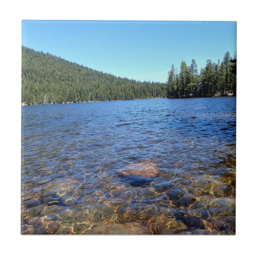 リトルカルトゥス湖、または タイル (正面)