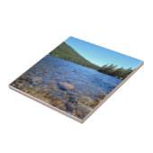 リトルカルトゥス湖、または タイル (側面)