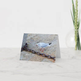 リトルガルビッグチェーンセントイヴズコーンウォールイングランド カード