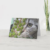 リトルキットン数々の目的カード カード (裏面)