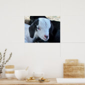 リトルキッド顔 ポスター (キッチン)