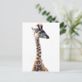 「リトルキリン」野生動物の水の色 ポストカード (スタンド正面)