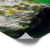 リトルクアリウム川 ポスター (角)