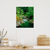 リトルクアリウム川 ポスター (キッチン)