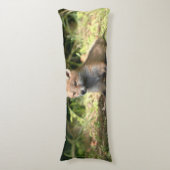 リトルクブレッドキツネ ボディピロー (正面縦)