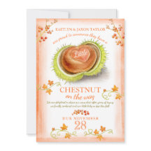 リトルクリハート水色妊娠