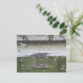 リトルグリーンヘロン ポストカード (スタンド正面)