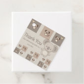 リトルコアラブリス フェイバータグ (インサイチュ)