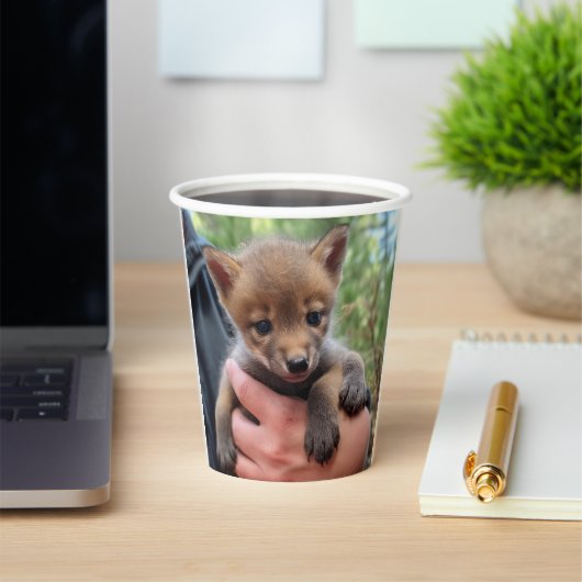 リトルコヨーテ 紙コップ (インサイチュ)