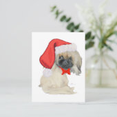 リトルサンタペキゲゼ シーズンポストカード (スタンド正面)