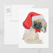 リトルサンタペキゲゼ シーズンポストカード (正面/裏面)