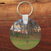 リトルシカ&アピンクサンセット キーホルダー (正面)