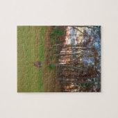 リトルシカ&アピンクサンセット ジグソーパズル (横)