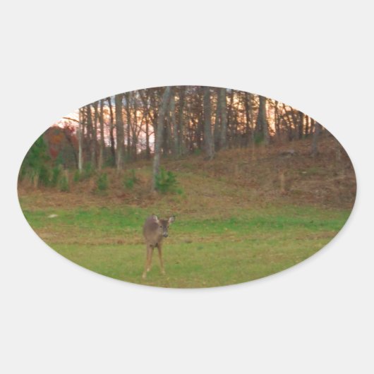 リトルシカ&アピンクサンセット 楕円形シール (正面)