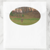 リトルシカ&アピンクサンセット 楕円形シール (バッグ)