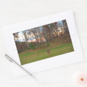 リトルシカ&アピンクサンセット 長方形シール (封筒)