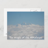 リトルシーズポストカード4 ポストカード (正面/裏面)