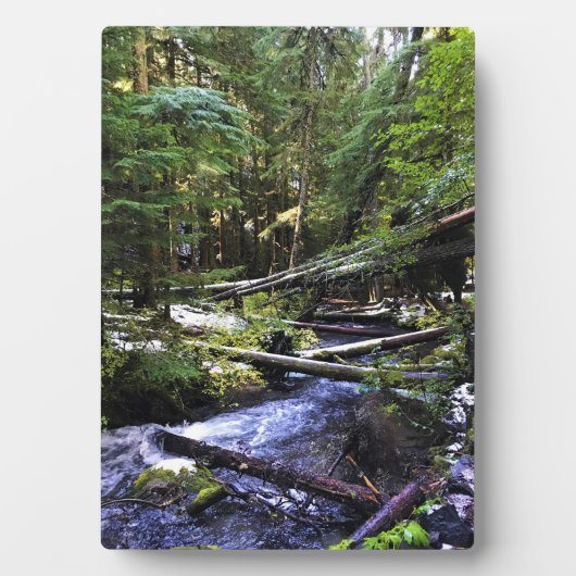 リトルジグザグ川、または フォトプラーク (正面)