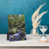 リトルジグザグ川、または フォトプラーク (側面)