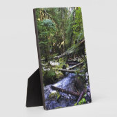 リトルジグザグ川、または フォトプラーク (側面)