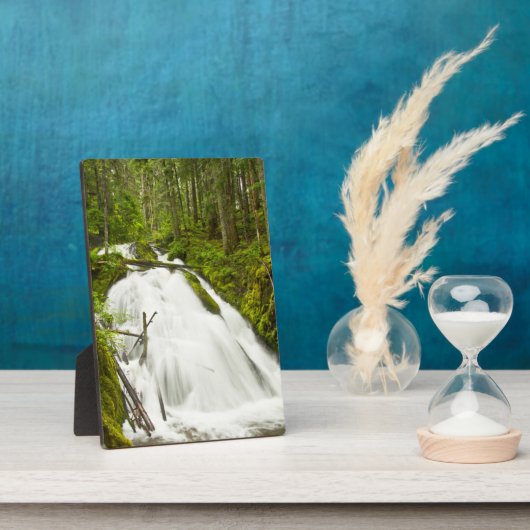 リトルジグザグ秋 |山フード国有林 フォトプラーク (側面)