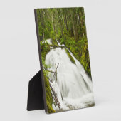 リトルジグザグ秋 |山フード国有林 フォトプラーク (側面)