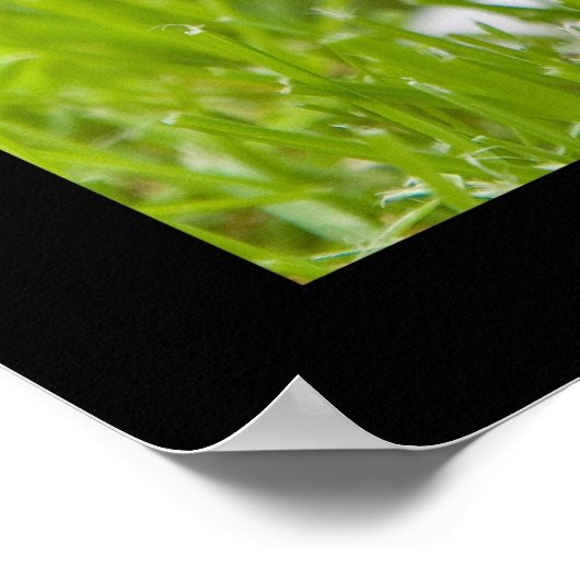 リトルジャック ポスター (角)