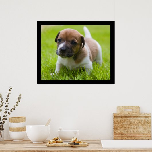 リトルジャック ポスター (キッチン)