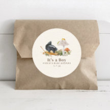 リトルスティンカーウッドランドスカンクボーイベビーシャワー