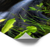 リトルストリーム ポスター (角)