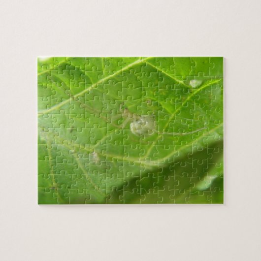 リトルスパイダーパズル ジグソーパズル (横)