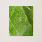 リトルスパイダーパズル ジグソーパズル (縦)