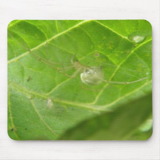 リトルスパイダーマウスパッド マウスパッド (正面)