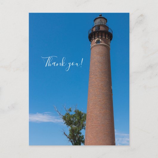 リトルセーブルポイントライト感謝ポストカード ポストカード (正面)