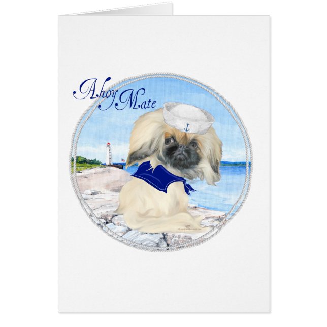 リトルセーラーペキン (正面)