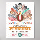 リトルターキー感謝祭あらゆる年齢の誕生日パーティー ポスター (正面)