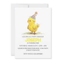 リトルチックファーム誕生日チキン