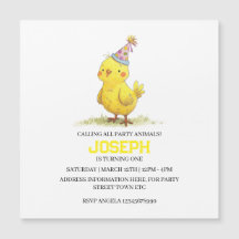 リトルチックファーム誕生日チキン