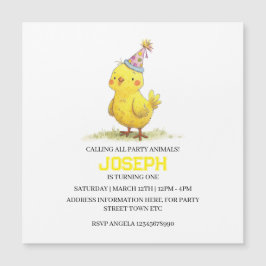 リトルチックファーム誕生日チキン