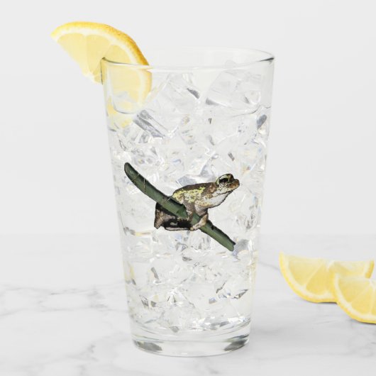 リトルツリーカエル絵を描油、ビールグラス タンブラーグラス (アイス正面)