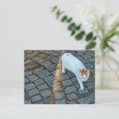 リトルドットエフェソス猫 ポストカード (スタンド正面)