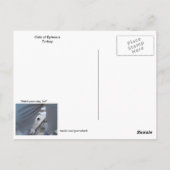 リトルドットエフェソス猫 ポストカード (裏面)