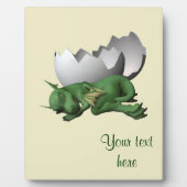 リトルドラゴン フォトプラーク (正面)